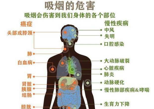抽电子烟的危害_电子吸烟有害健康吗_电子吸烟的对身体有影响吗