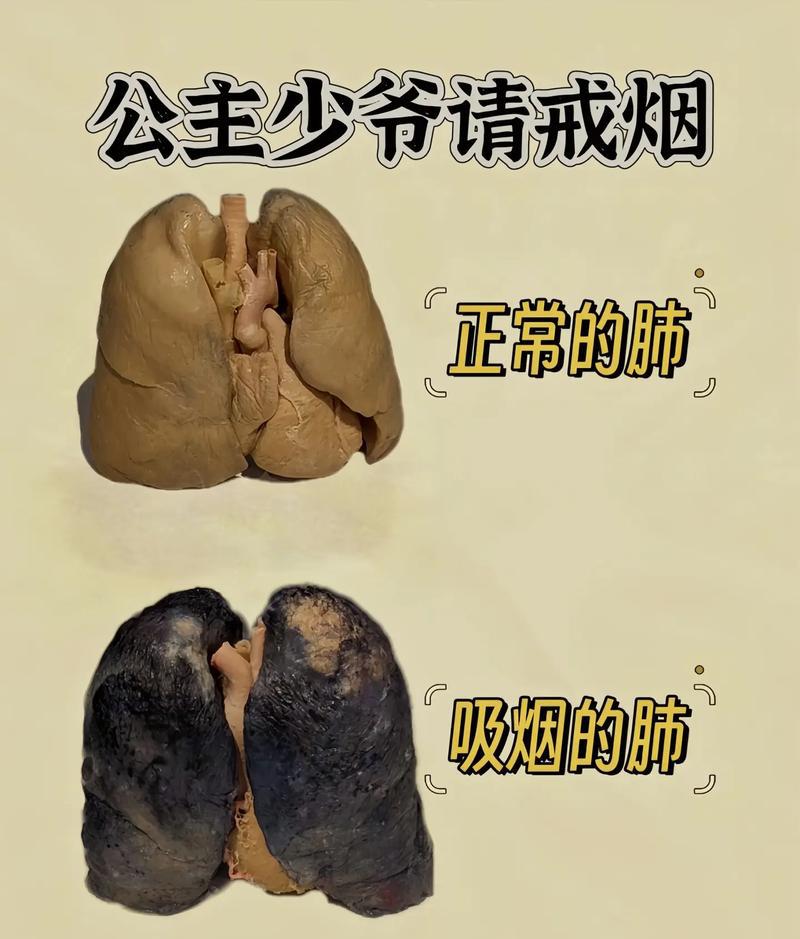 几岁抽烟危害最大_抽烟对身体的伤害到底有多大_多大抽烟才算合适